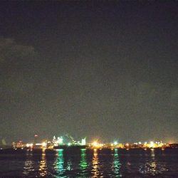 今日も好調か？