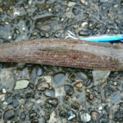 ボウズではないものの