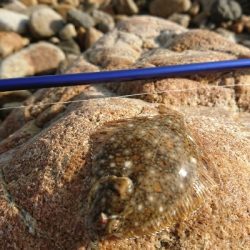 キスはどこに行った…