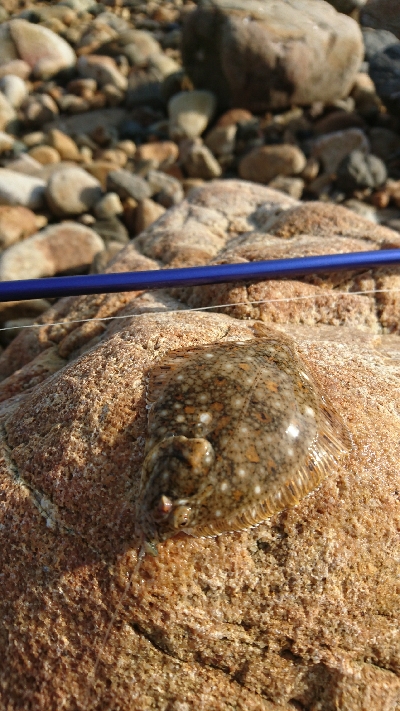 キスはどこに行った…