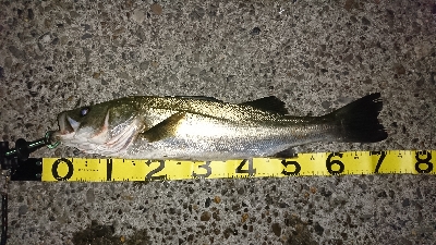 70オーバーげっと✌…