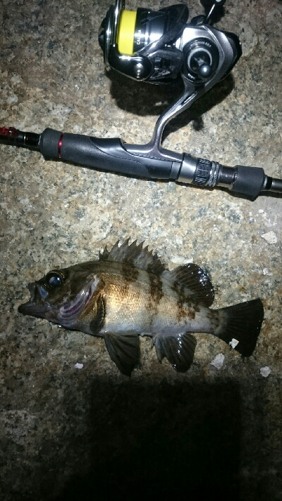 一瞬のジアイ。