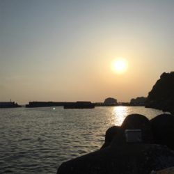 アジが釣りたくて