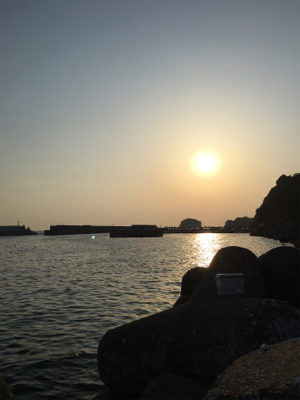 アジが釣りたくて