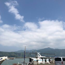 五目&ムギイカ便