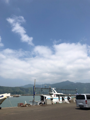 五目&ムギイカ便