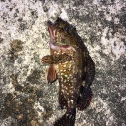 小分けに移動しながら(笑)。