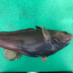 外道！！外道！！外道！！