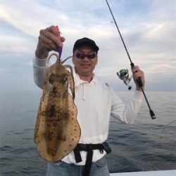 春イカティップラン