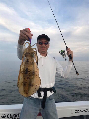 春イカティップラン