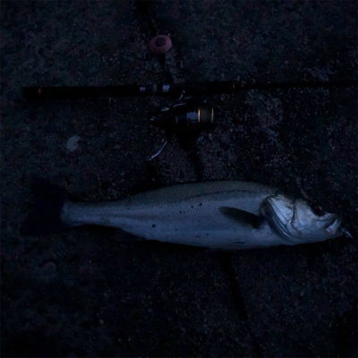 旅行ついでに。