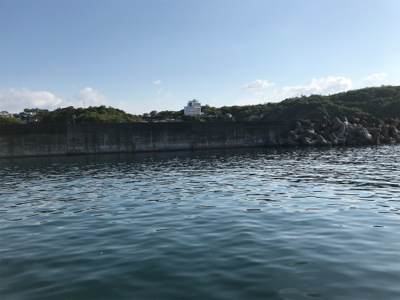 カタクチイワシ