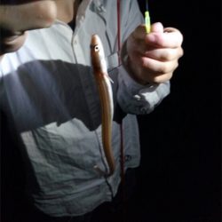 チョイ投げ五目