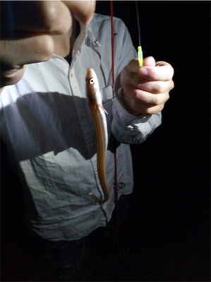 チョイ投げ五目