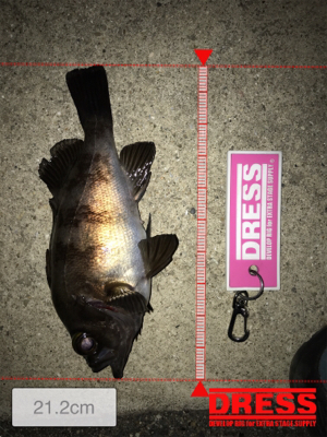 爆風につき早々に退散