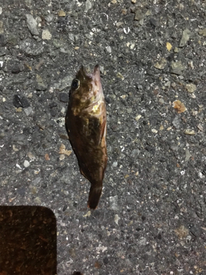 当たりは多かったのに…