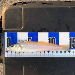 ちょい投げキス+α