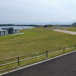 初めての春イカ