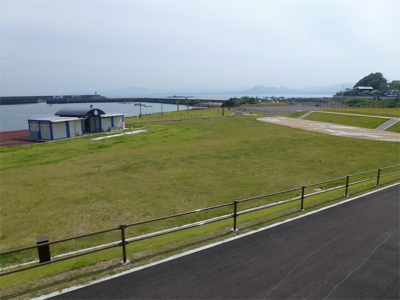 初めての春イカ