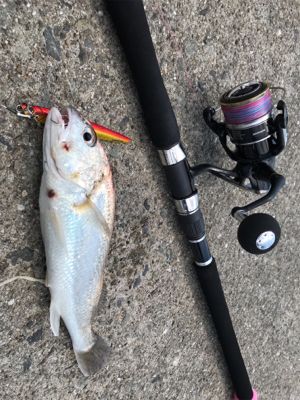 正月ぶりのショアジギ