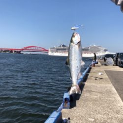 神戸にてマスゲット