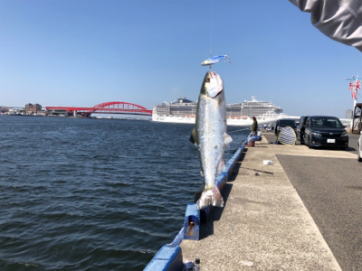 神戸にてマスゲット