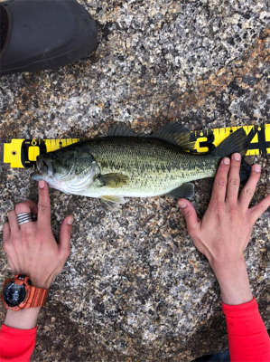 今年初バス！！