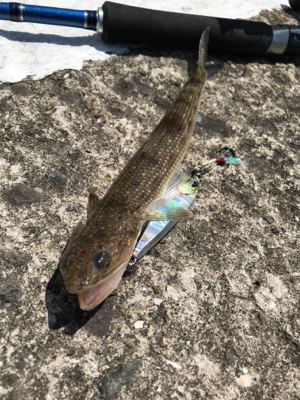 子どもの日で満員御礼