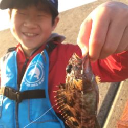 ショアジギなのに。