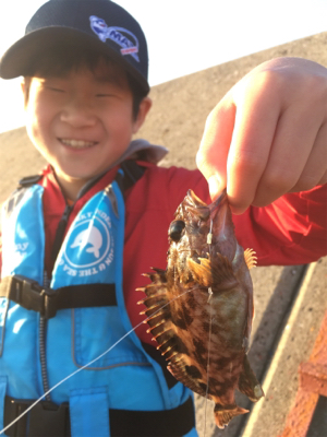 ショアジギなのに。