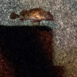 夜にガシリング