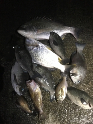 ゴールデンウィーク8日目