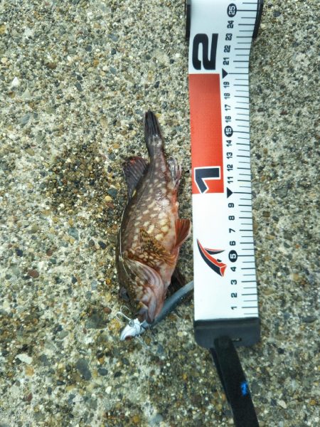 ゴールデンウィーク釣行！