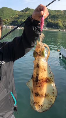 朝イチエギング