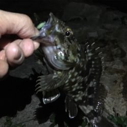 淀川ブリームゲーム 紀ノ川遠征