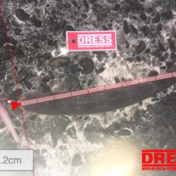 青物おらず、エソばかり