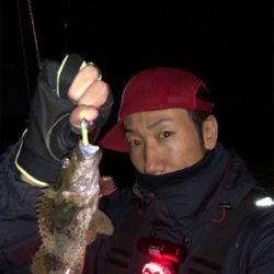 ナイトプラッキングゲーム☆GUNNING-STYLE