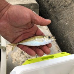 思い通りにはいかない…