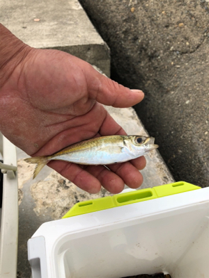 思い通りにはいかない…