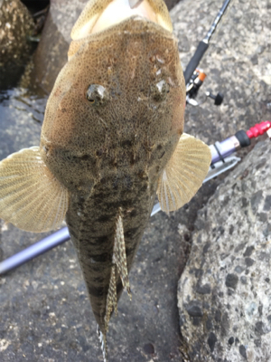 ゴールデン最終日