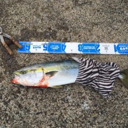 最後の最後に本命ゲッツ