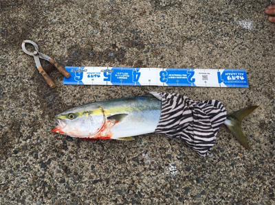 最後の最後に本命ゲッツ