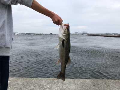 シーバス釣行1日目