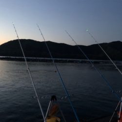 初の紀東マダイ狙い