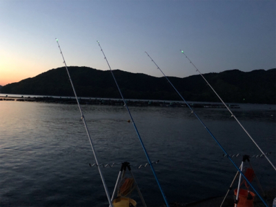 初の紀東マダイ狙い