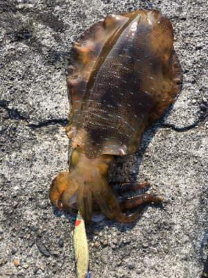 強風で苦戦の中の一杯