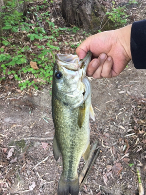 上田にある須川湖