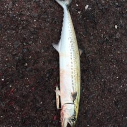 タイミングよく