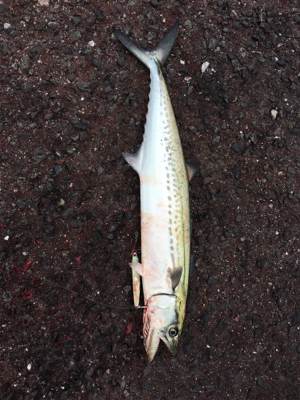 タイミングよく