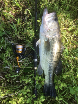 早朝玉川ダムでなんとか…！